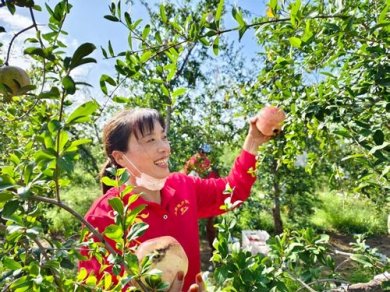 ػʯ ӳս  ֣Ͻֽǰսũ