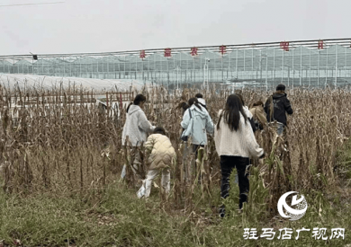 פְҵѧԺѧԺ200ʦׯ԰Ͷܶ