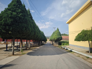 ��֧�����ʮ���� Сɽ���ò������