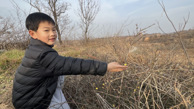 �����Դ����Դ������ʵ���׶�԰��չ������������